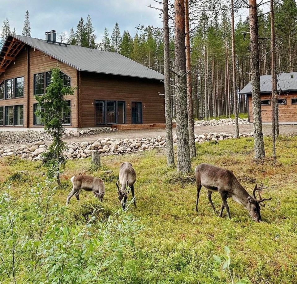 Simons Hus, Levi, Lappland, fasad, fritidshus, renar
